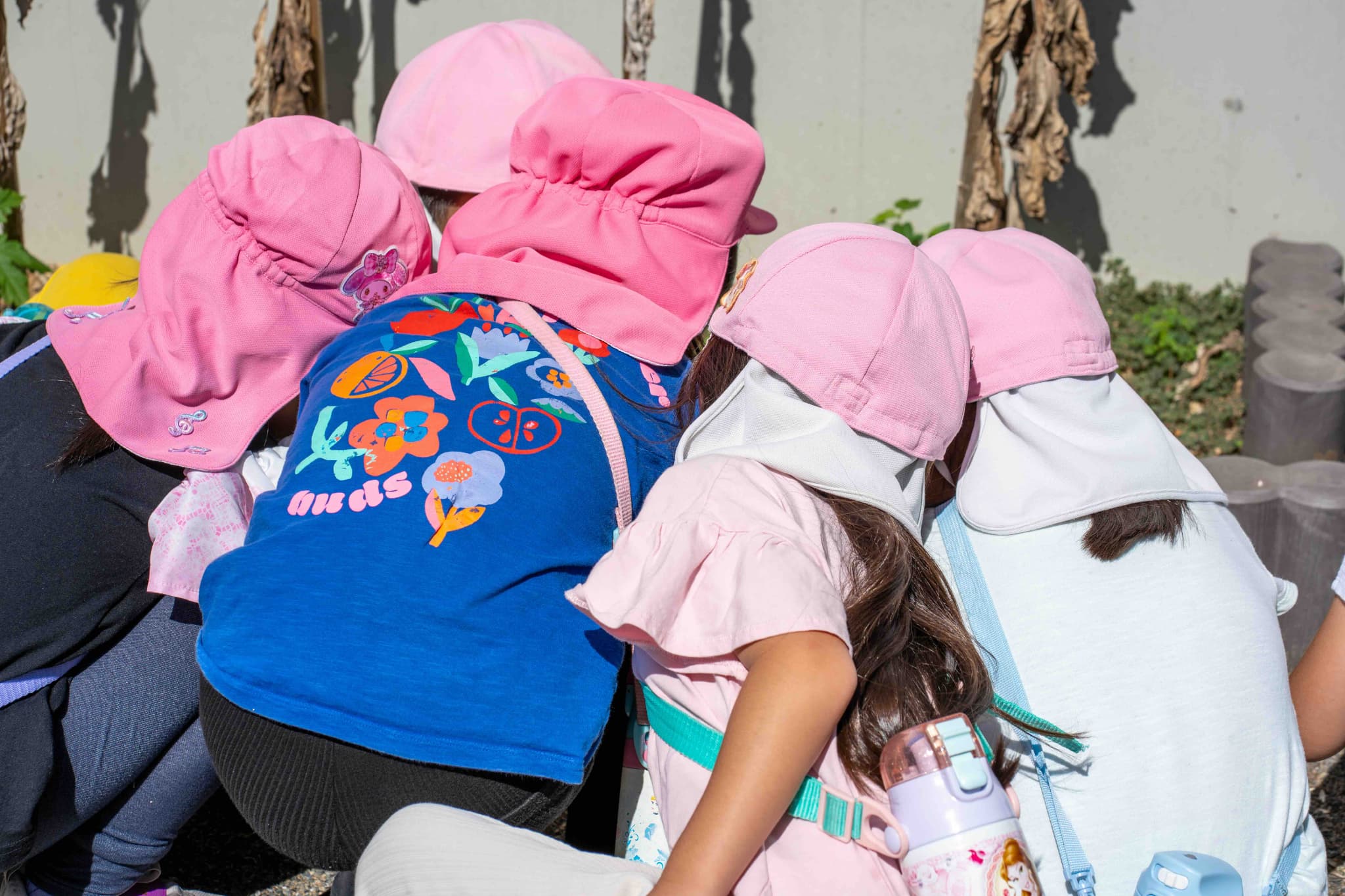 “笑顔を育む保育園” ──「有限会社おひさま」